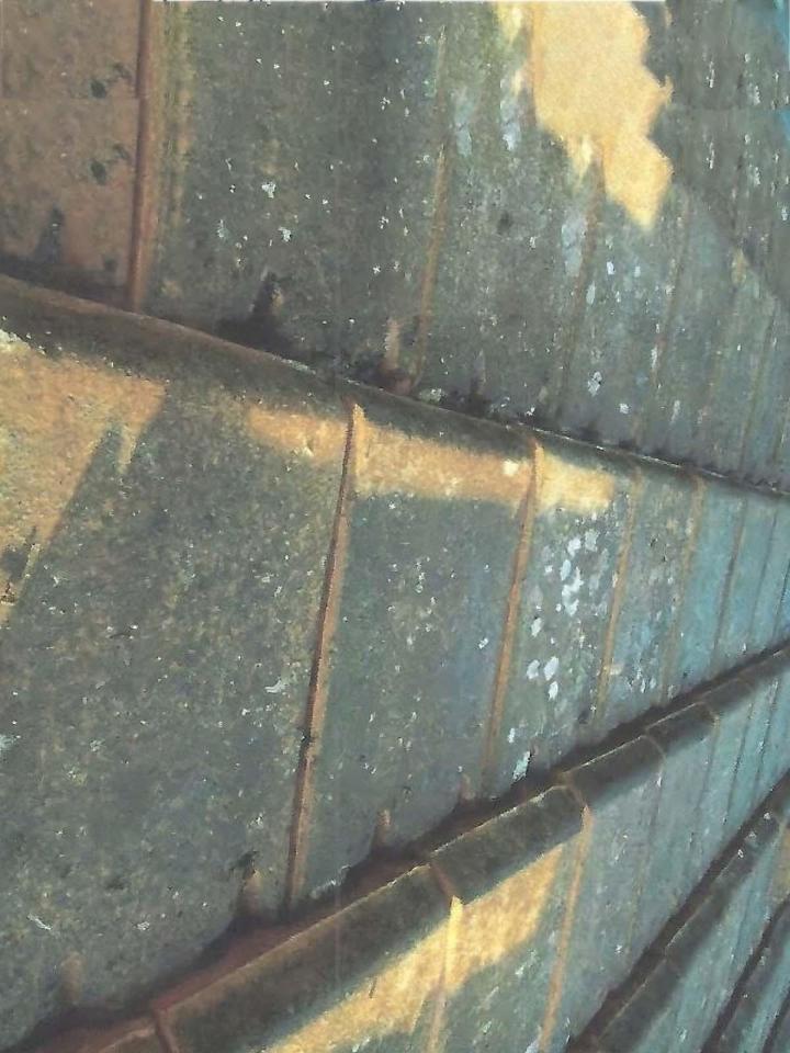 Nettoyage de toiture Rambouillet